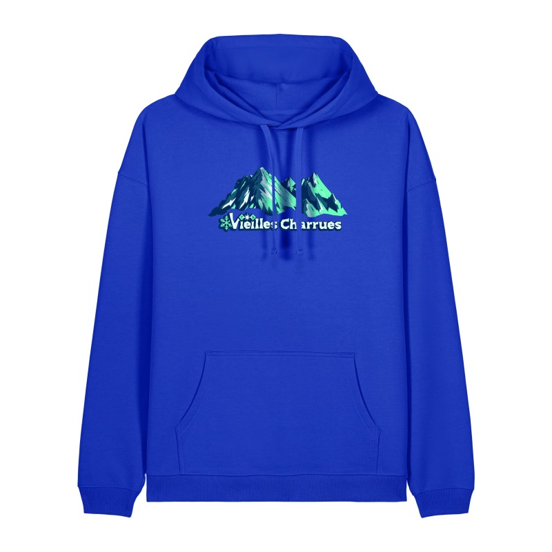 Hoodie unisexe Fjord – Vieilles Charrues 2026